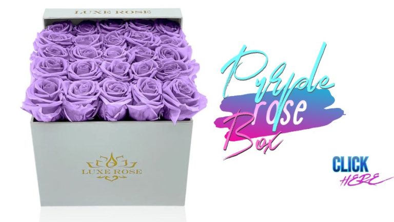 purple-rose-box