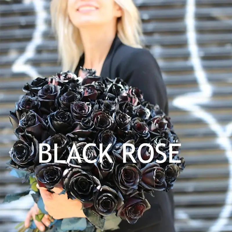 رز سیاه