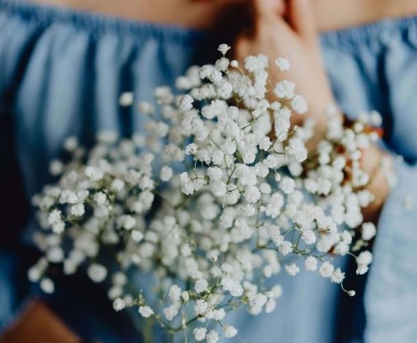 گل ژیپسوفیلا