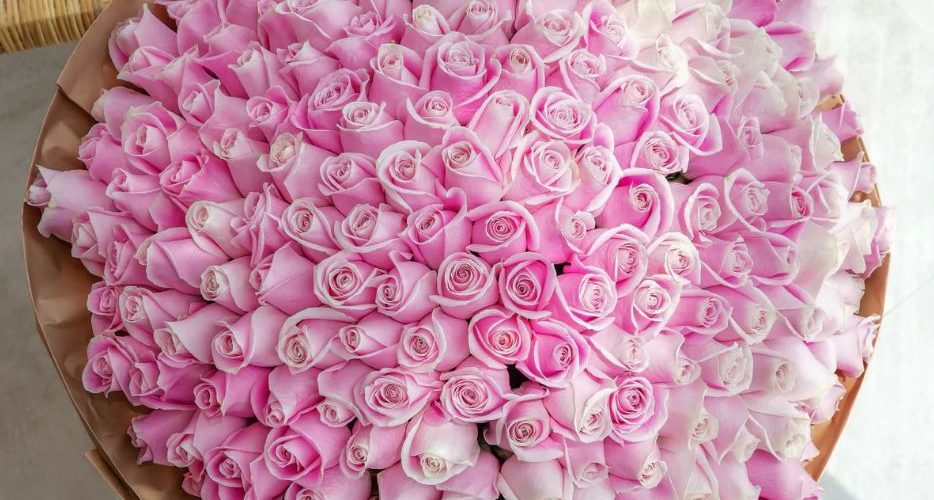 تاریخچه گل رز