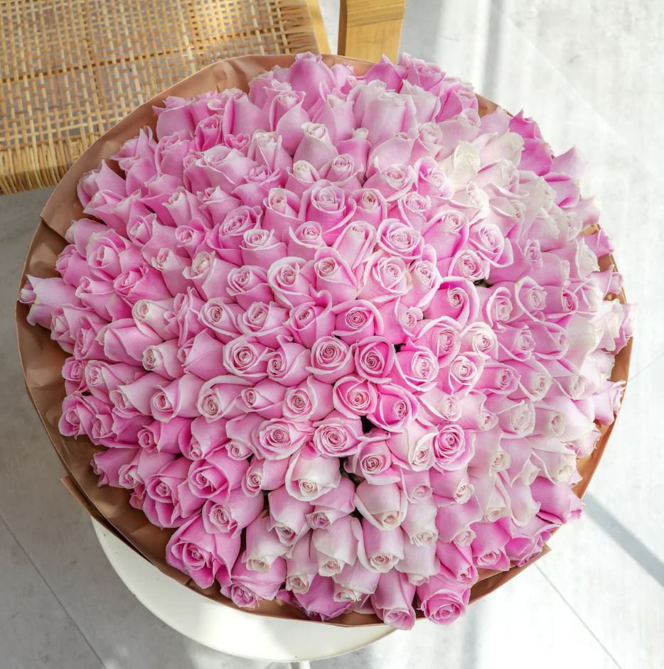 تاریخچه گل رز