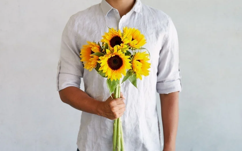 گل آفتابگردان