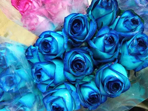  رز ابی