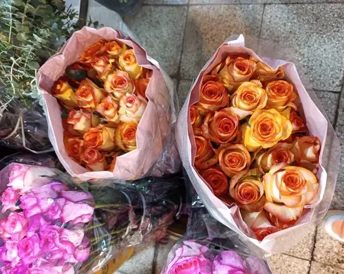   رز اتشین  